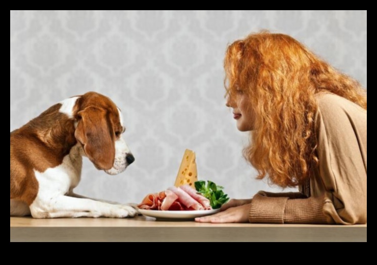 Suņu virtuves kritika: jaunāko suņu barības tendenču apskats