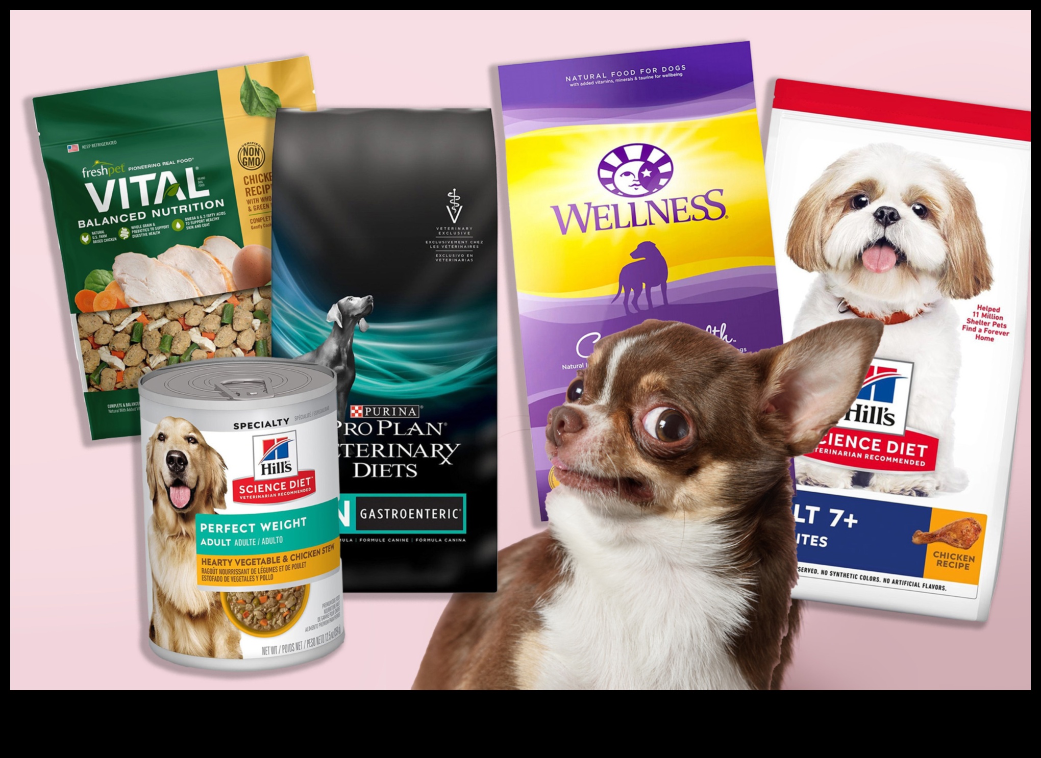 Suņu virtuves kritika: jaunāko suņu barības tendenču apskats