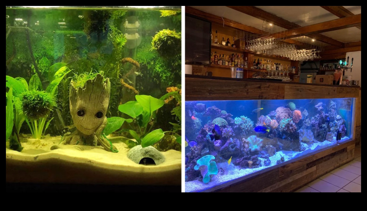 Frīstails zivju tvertnē: improvizēta akvāriju dekorēšana