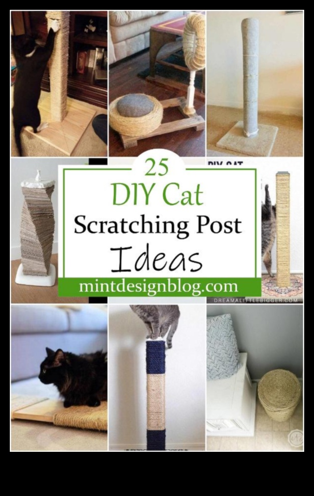 DIY Cat scratching Post: stilīga un funkcionāla dizaina izveide