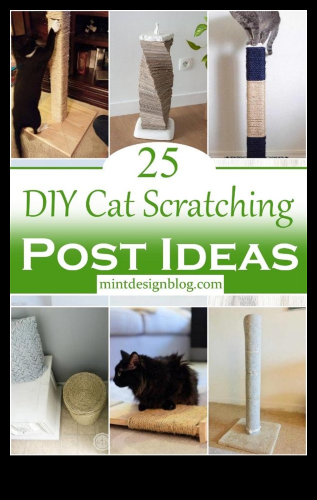DIY Cat scratching Post: stilīga un funkcionāla dizaina izveide