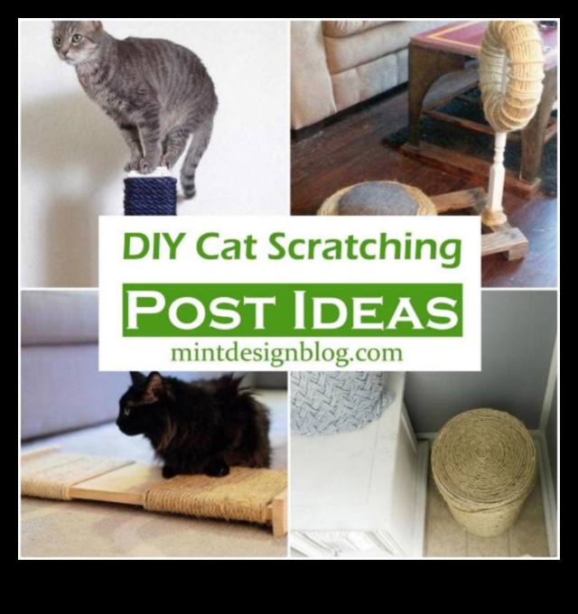 DIY Cat scratching Post: stilīga un funkcionāla dizaina izveide