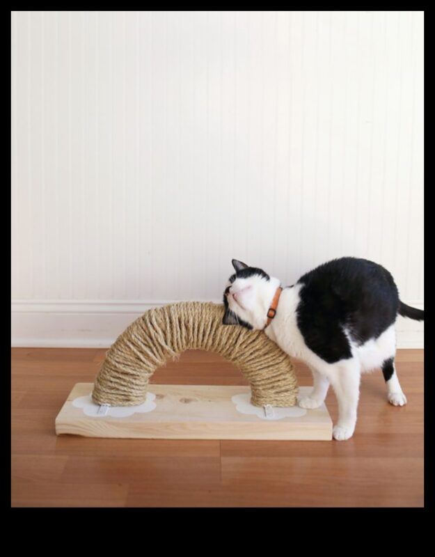 DIY Cat scratching Post: stilīga un funkcionāla dizaina izveide
