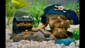 Frīstails zivju tvertnē: improvizēta akvāriju dekorēšana