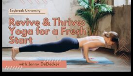 Atdzīvini un uzplaukst: meditācijas fiziskā ietekme