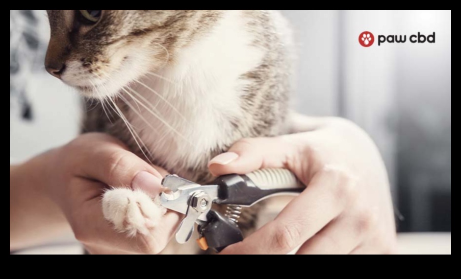 Ķepas un spīles: nagu kopšanas padomi suņiem, kaķiem un maziem dzīvniekiem