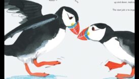 Spalvainie draugi turpinājums: Unikāla putnu saistīšanās uzvedība