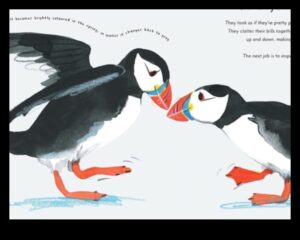 Spalvainie draugi turpinājums: Unikāla putnu saistīšanās uzvedība