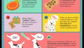 Panākumi uzkodu laikā: apmācības padomi pozitīvai pastiprināšanai