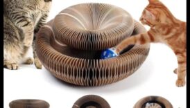 Whisker Wonders turpinājums: Atklājiet jaunus un aizraujošus aksesuārus kaķiem